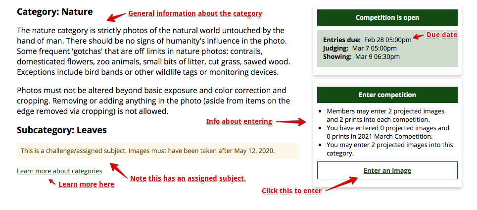 Annotated competition section screenshot