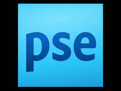 PSE logo