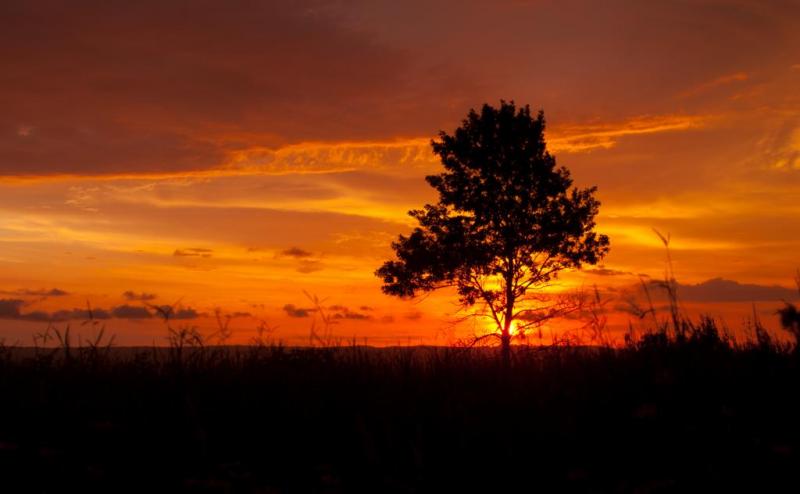 Competition entry: Morning Bliss