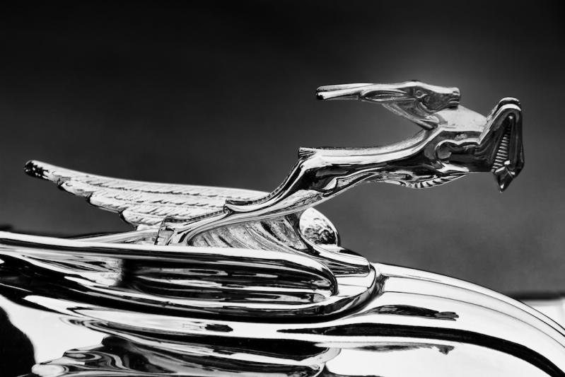 Competition entry: Dauntless