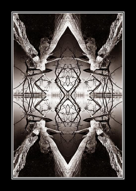 Competition entry: Marsh Abstract