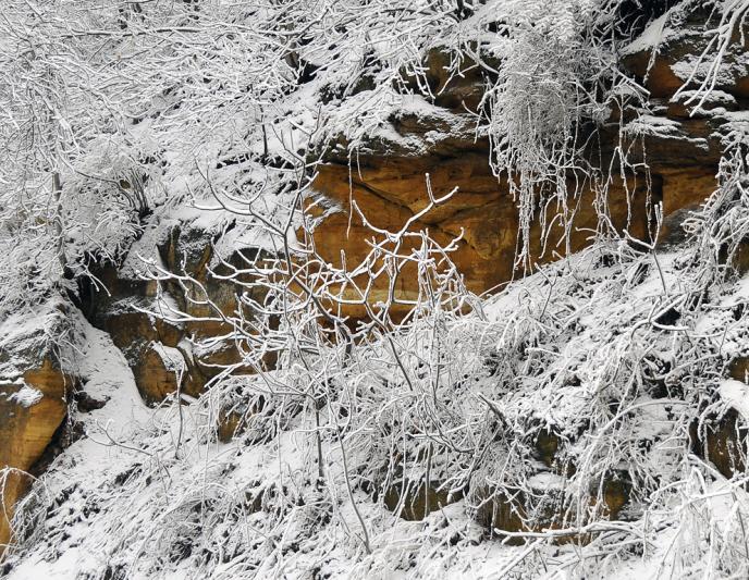 Competition entry: March Snow Storm