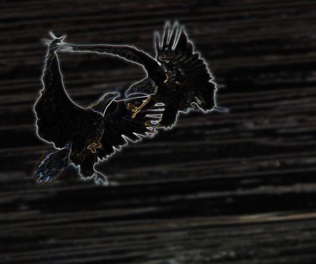 Competition entry: Dancing in Air