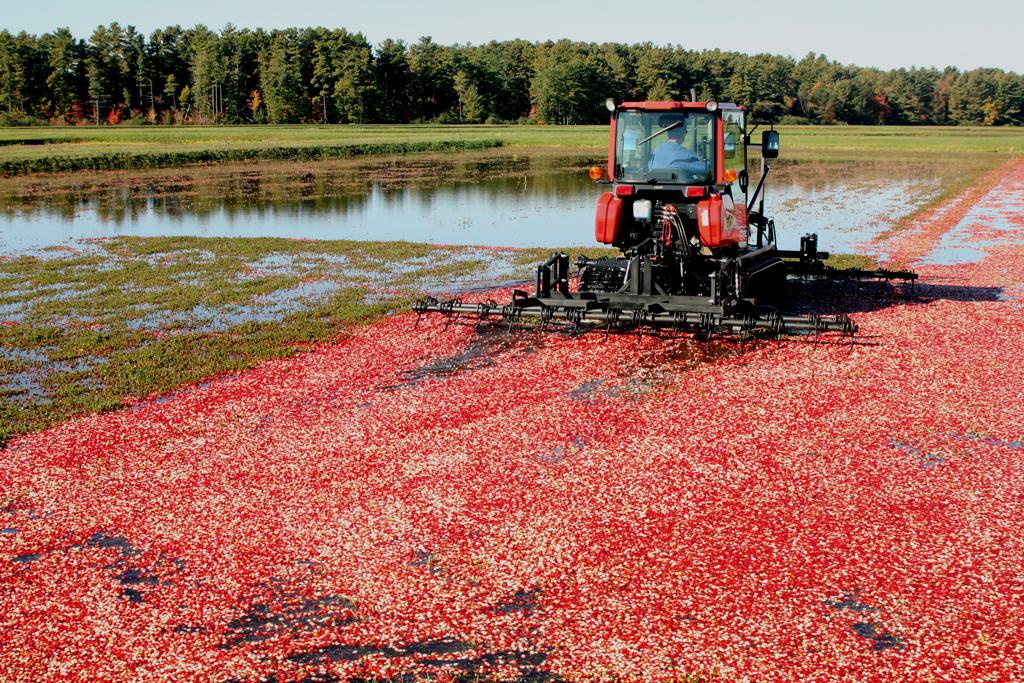 Competition entry: Harrow at work