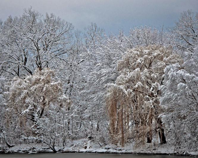 Competition entry: Snow