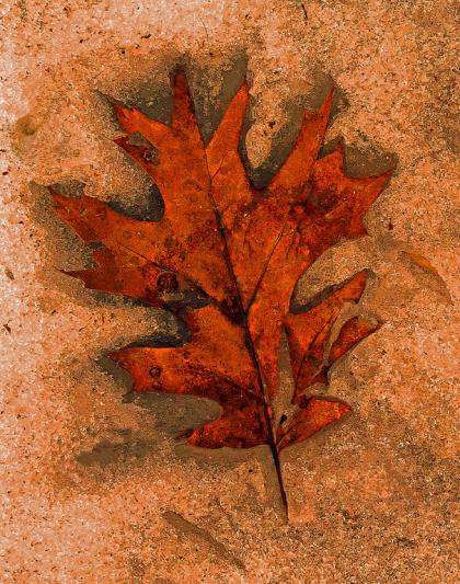 Competition entry: Melting Impressions