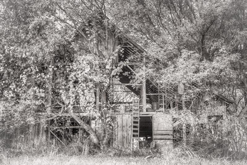 Competition entry: Schnick Farm Barn in B&W