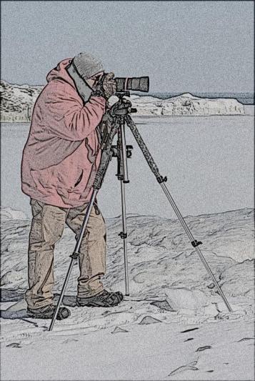 Competition entry: Lights Camera Action