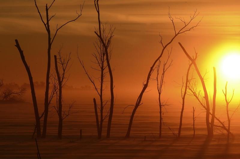 Competition entry: Finn Cold