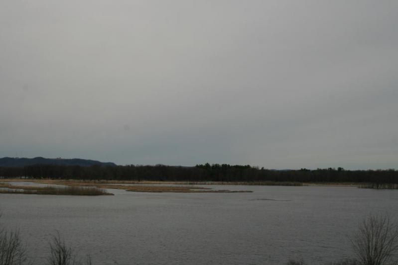 Competition entry: Goose Island Monster looks a lot like the Loch Ness Monster
