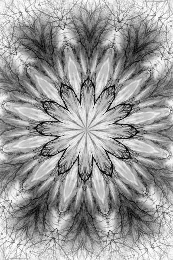 Competition entry: Trees at Sunset Abstract