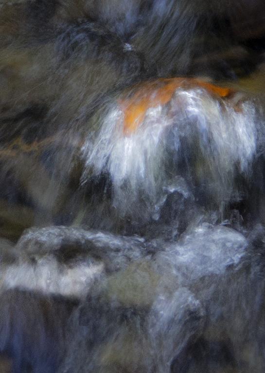 Competition entry: Grundle Glen Leaf