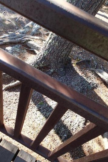 Competition entry: Perspective