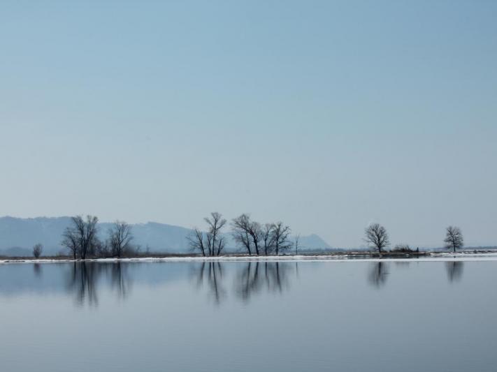 Competition entry: Reflection in Blue