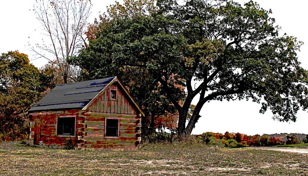Competition entry: Painted Shed