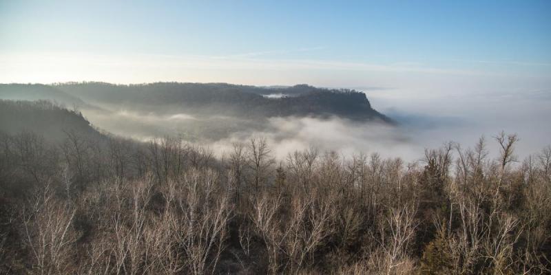 Competition entry: Foggy to the West