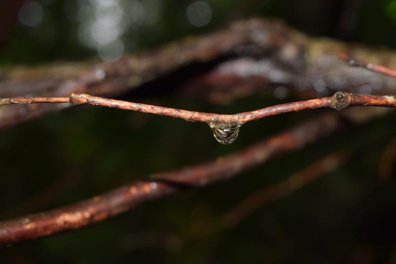 Competition entry: Drip