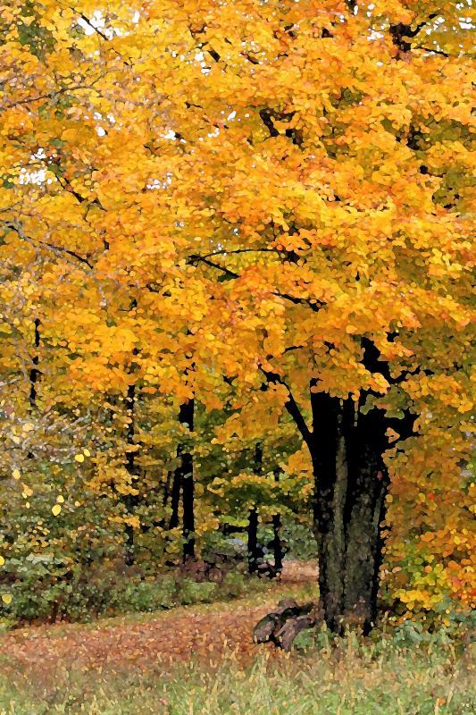 Competition entry: Autumn Watercolor