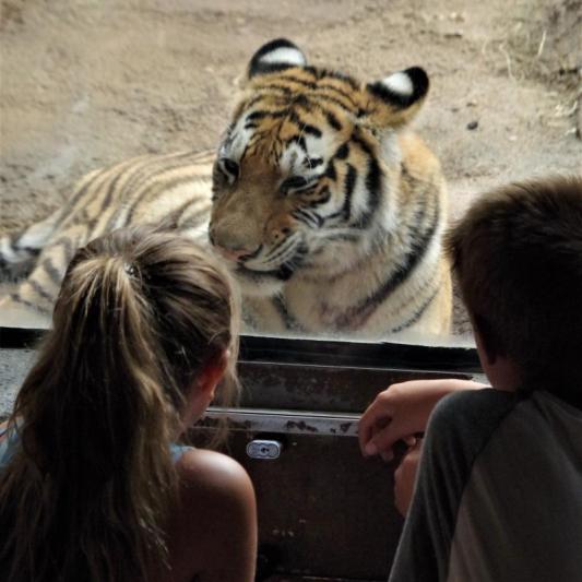 Competition entry: She looks so good