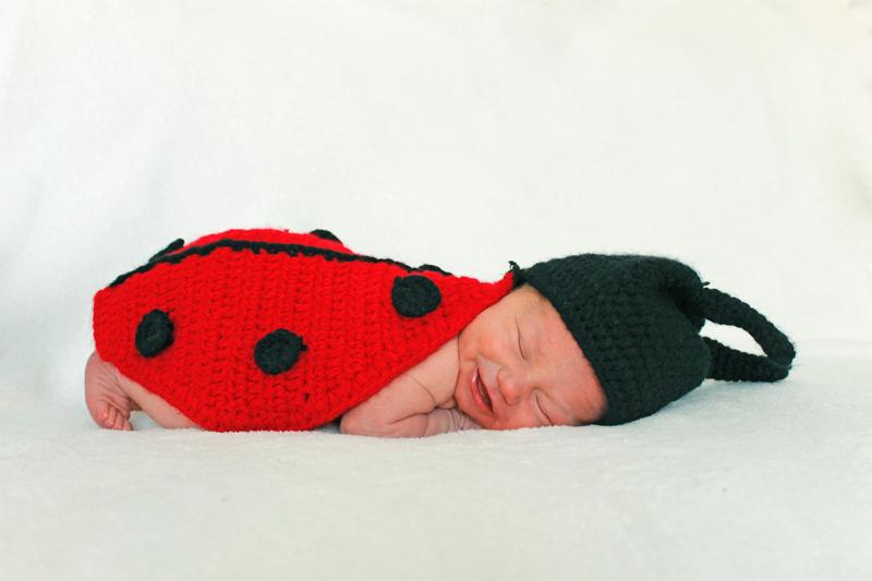 Competition entry: Cute As A Bug