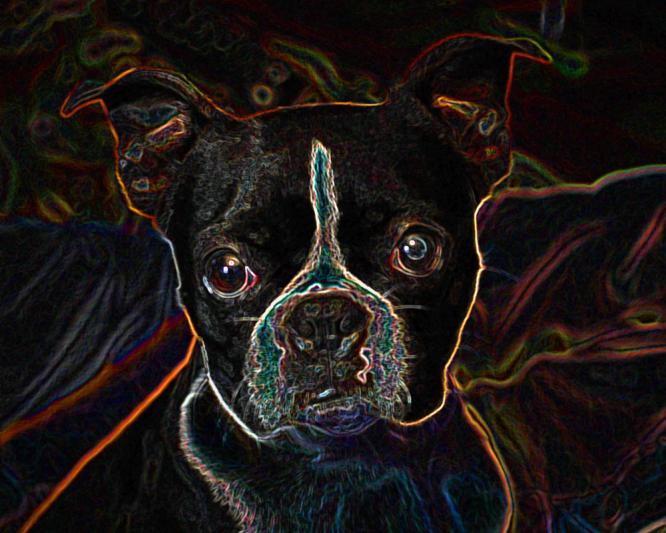 Competition entry: Cuteness Electrified!