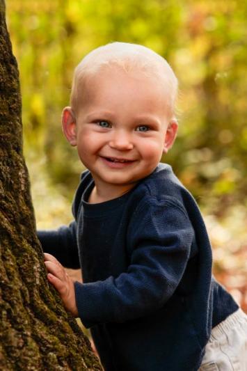 Competition entry: Sweetness