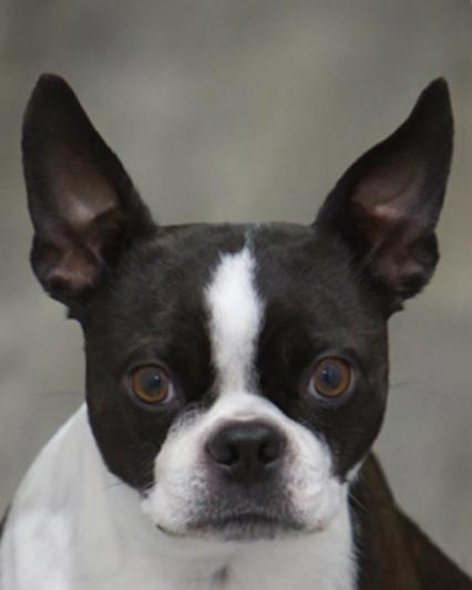 Competition entry: Are you looking at me!