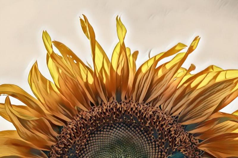 Competition entry: Keep on the Sunny Side