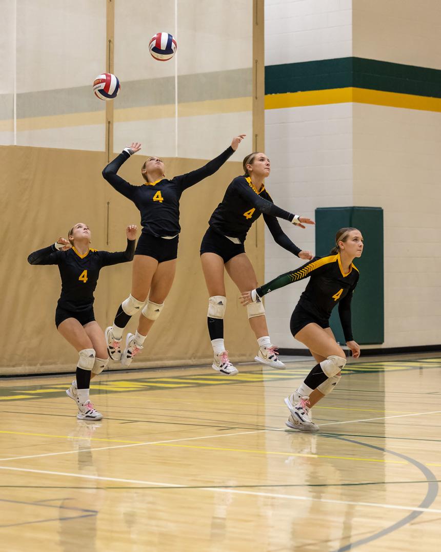 Competition entry: Serves you right