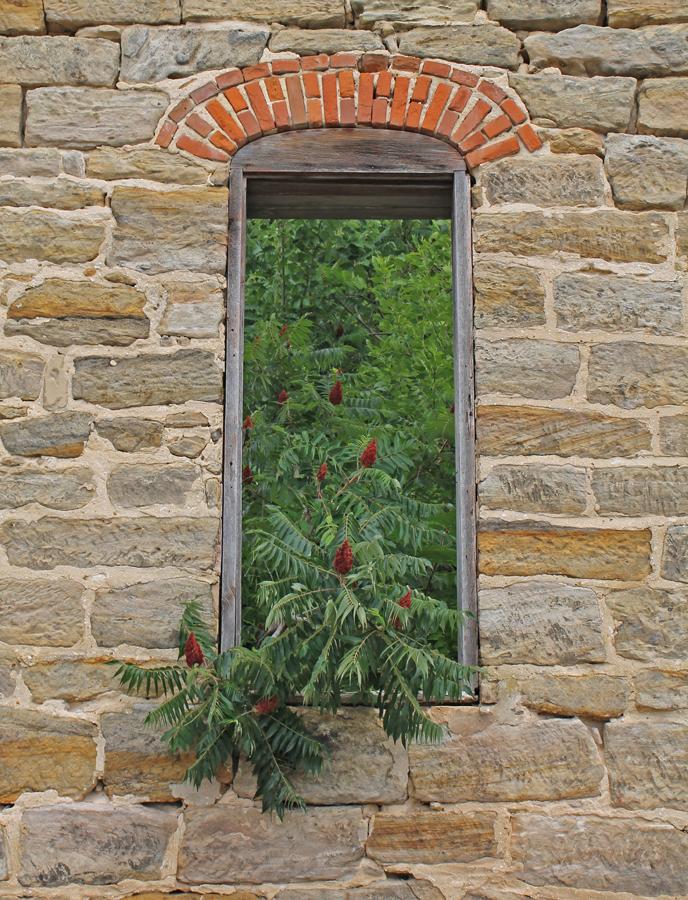 Competition entry: Growing Window