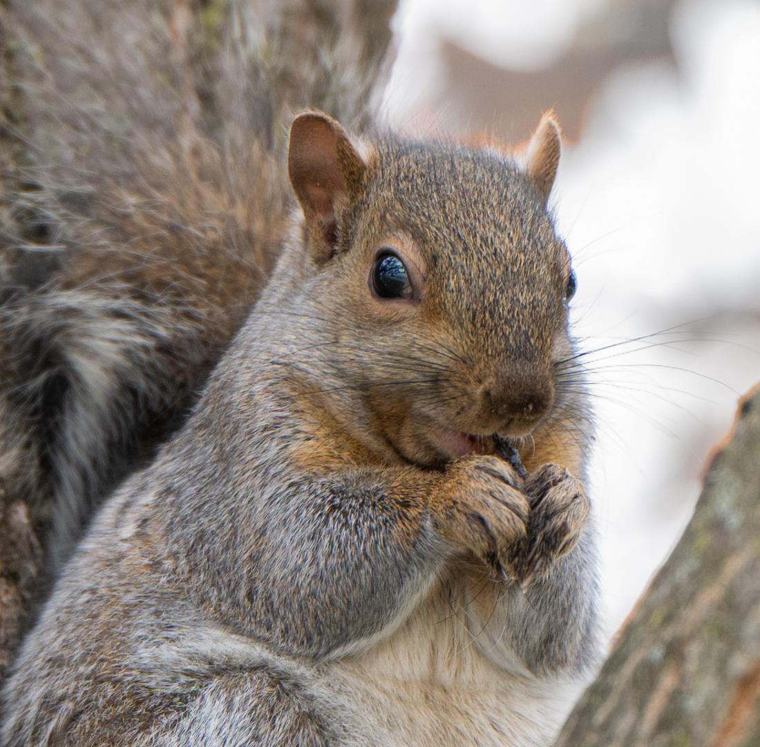 Competition entry: Lunch time