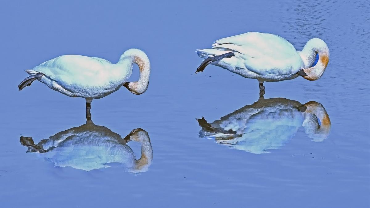 Competition entry: In Sync