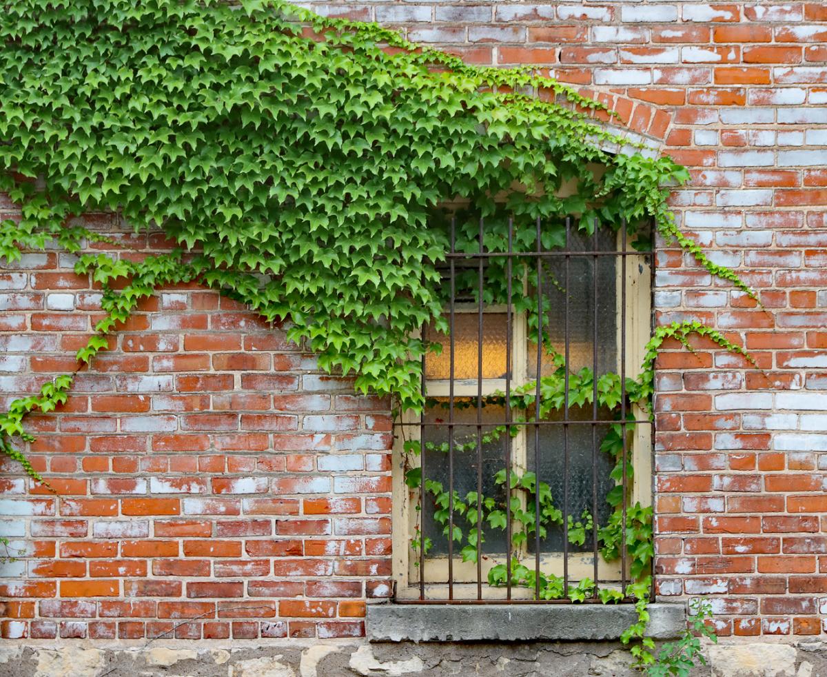 Competition entry: Glowing