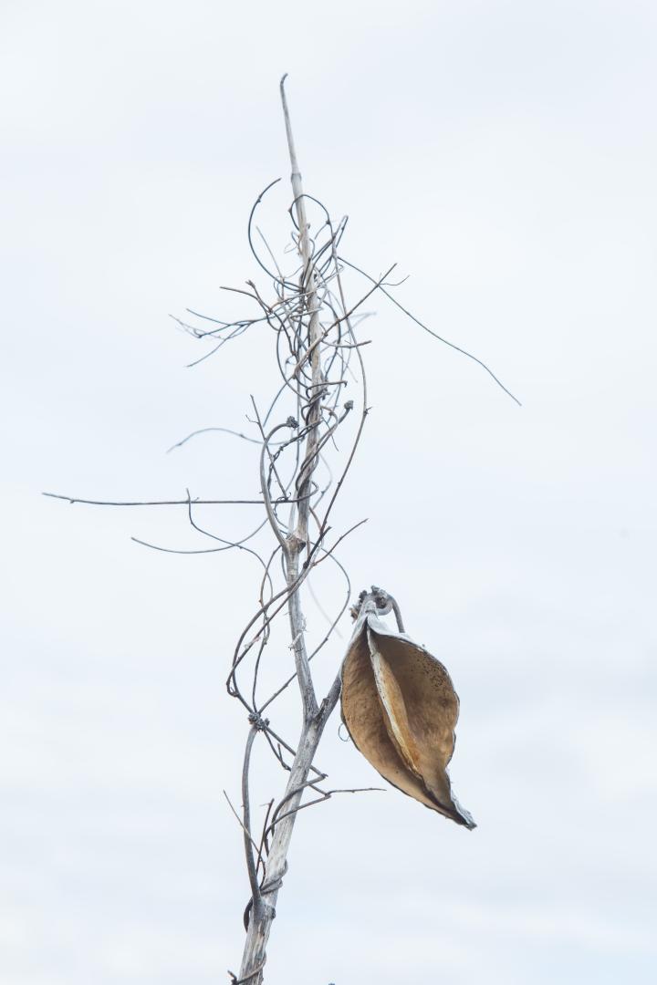 Competition entry: empty