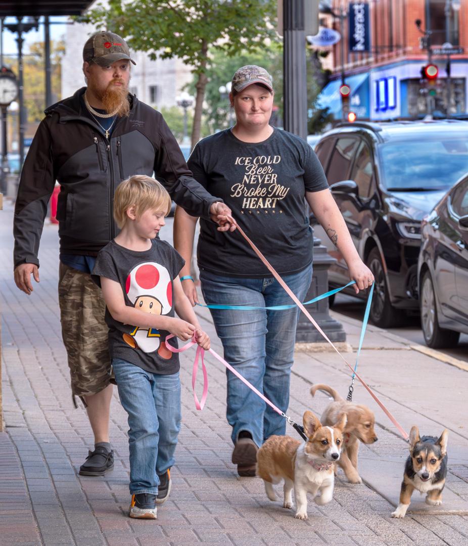 Competition entry: Family Walk