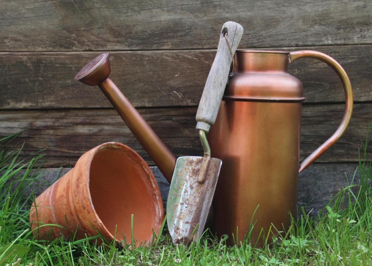 Competition entry: Gardening