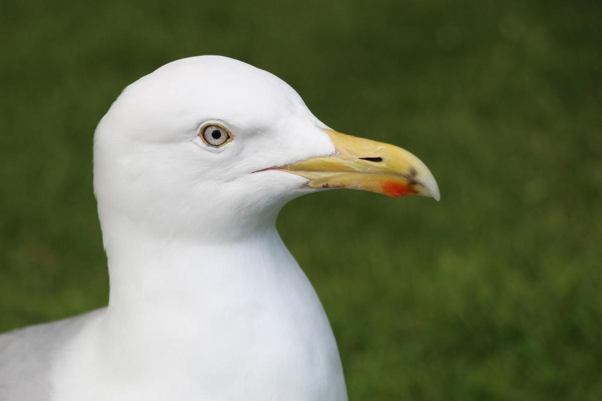 Competition entry: I've got my eye on you