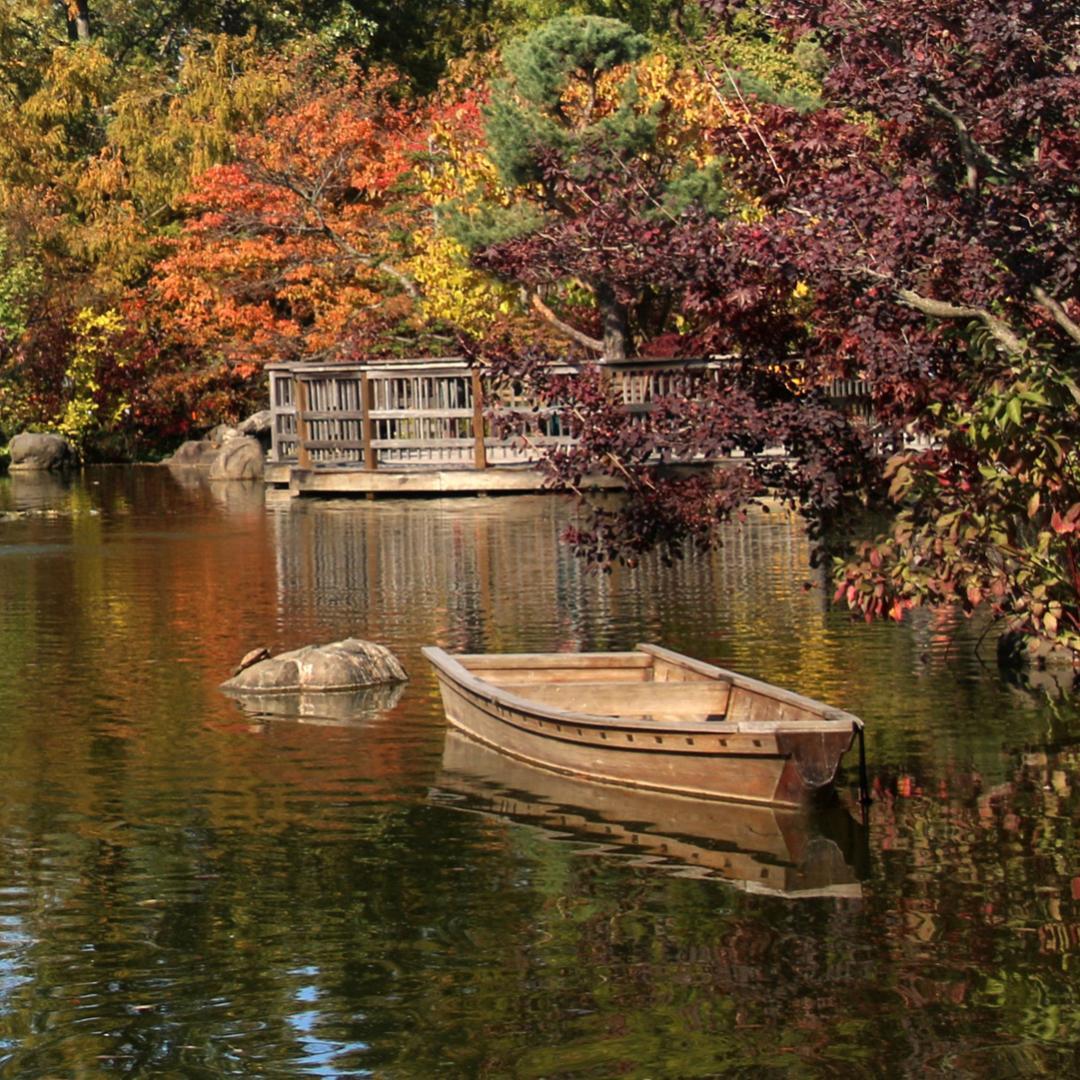 Competition entry: Wooden Boat