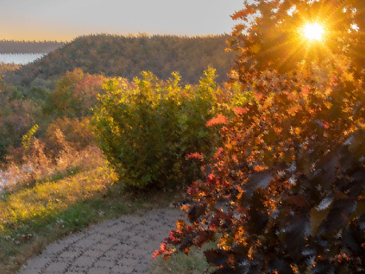 Competition entry: Close of Day