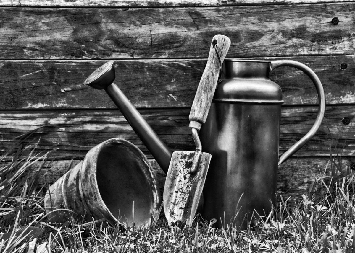 Competition entry: Think Spring