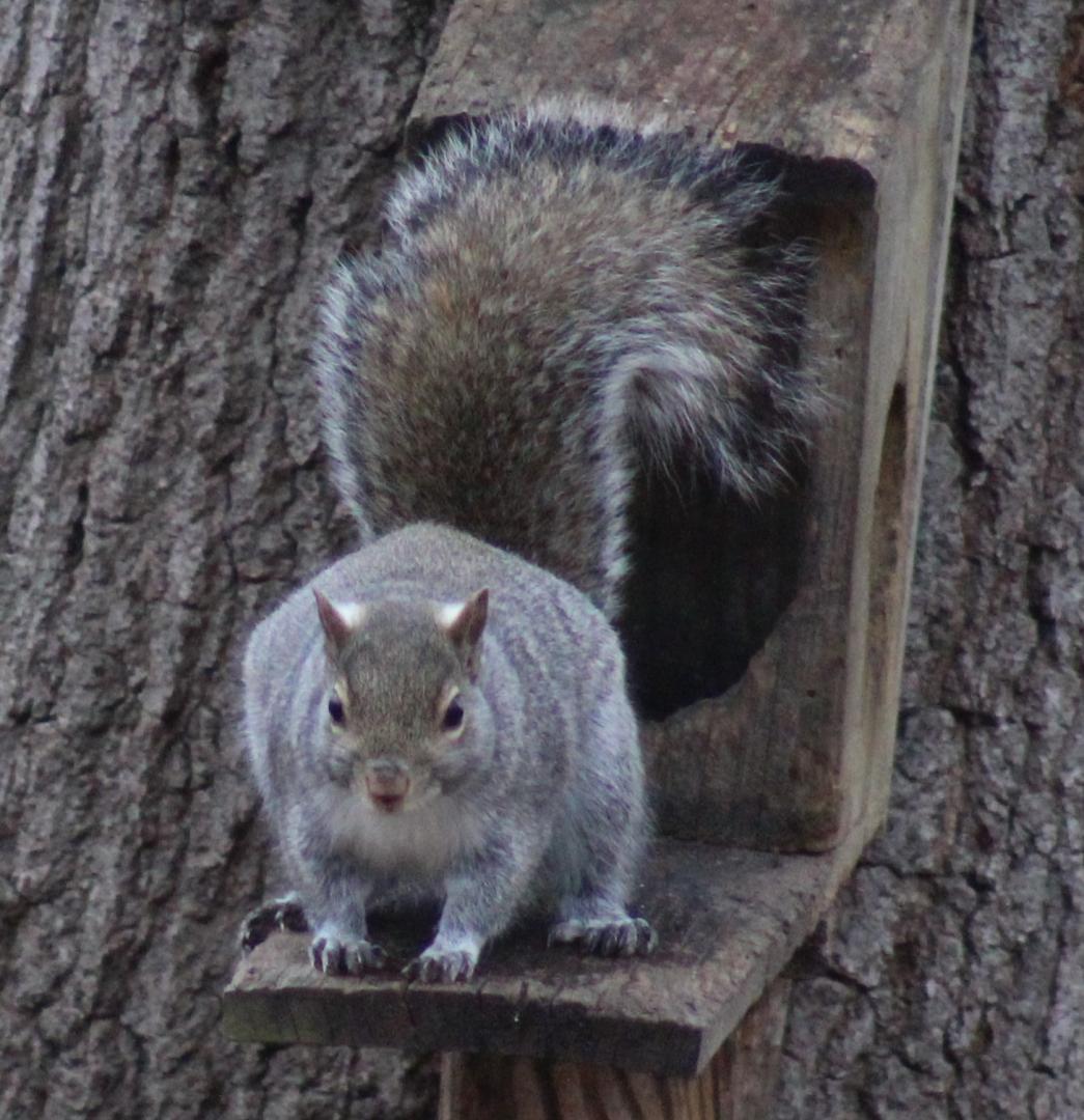 Competition entry: Can we talk