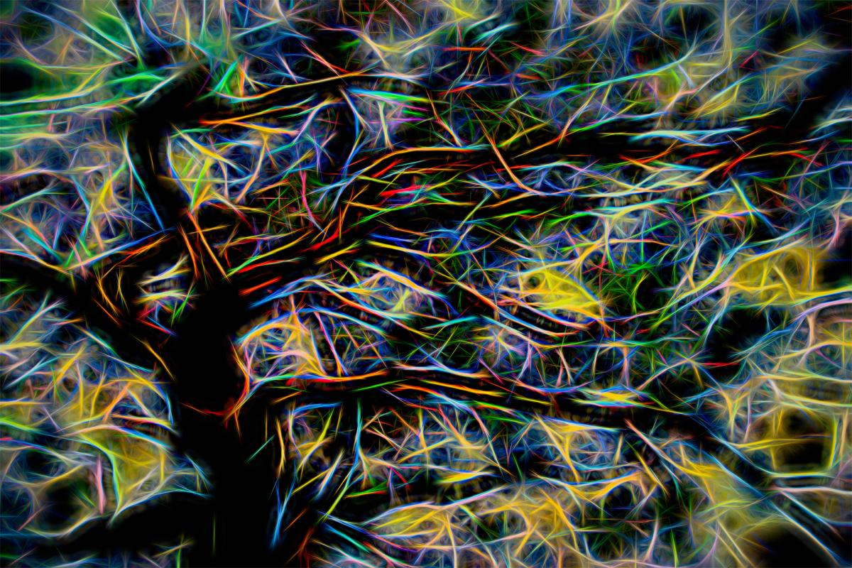 Competition entry: Electric Tree