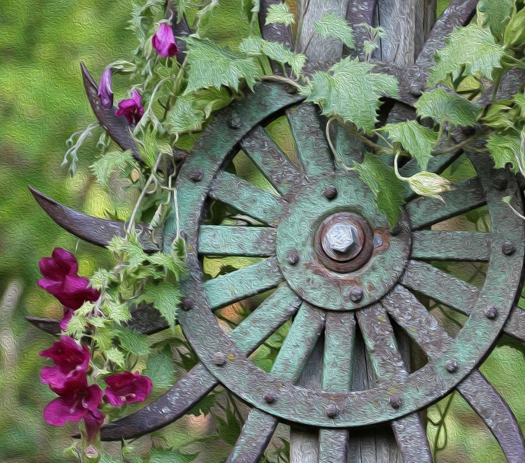 Competition entry: Wheel Of Beauty