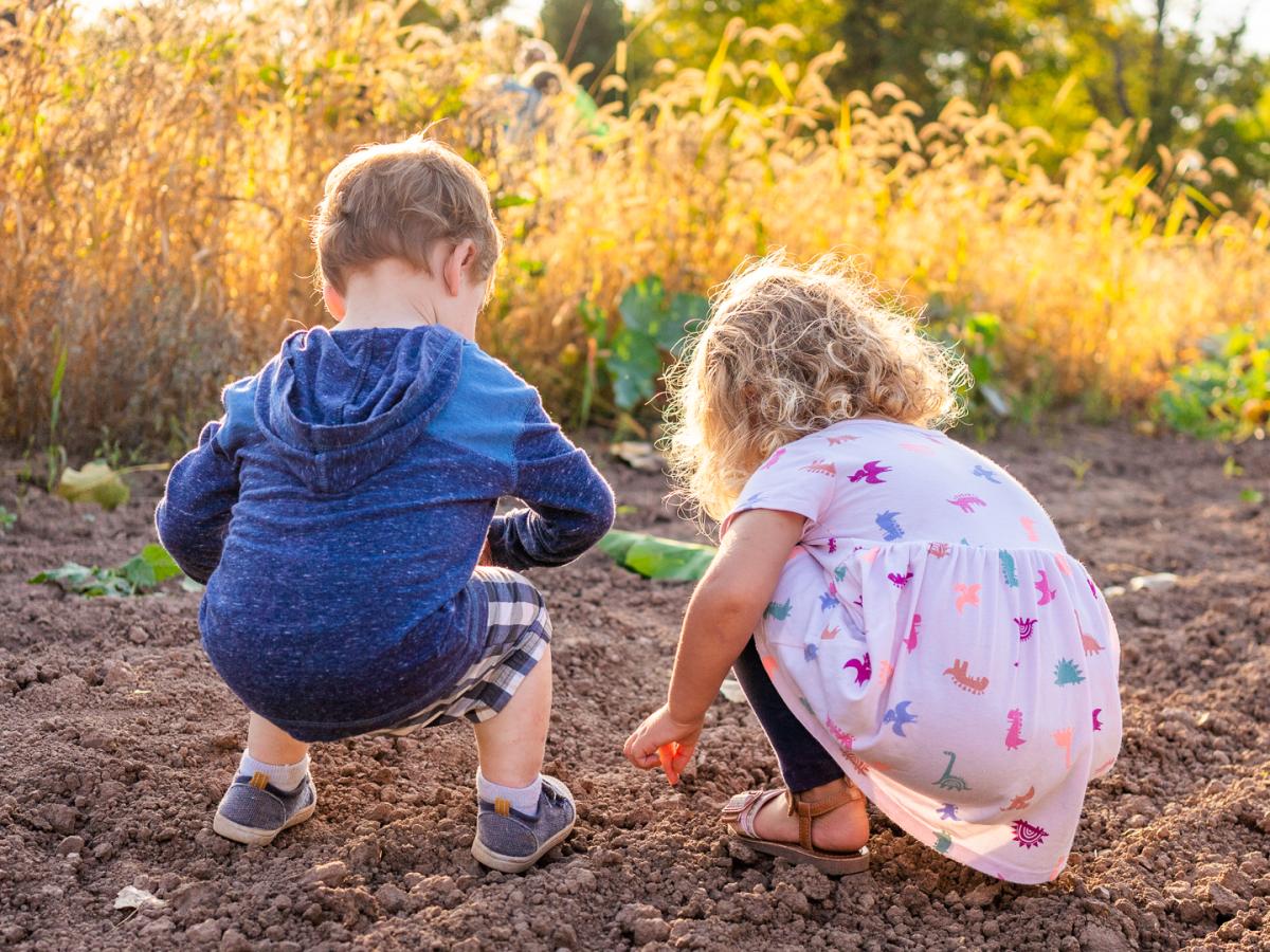 Competition entry: Cousins