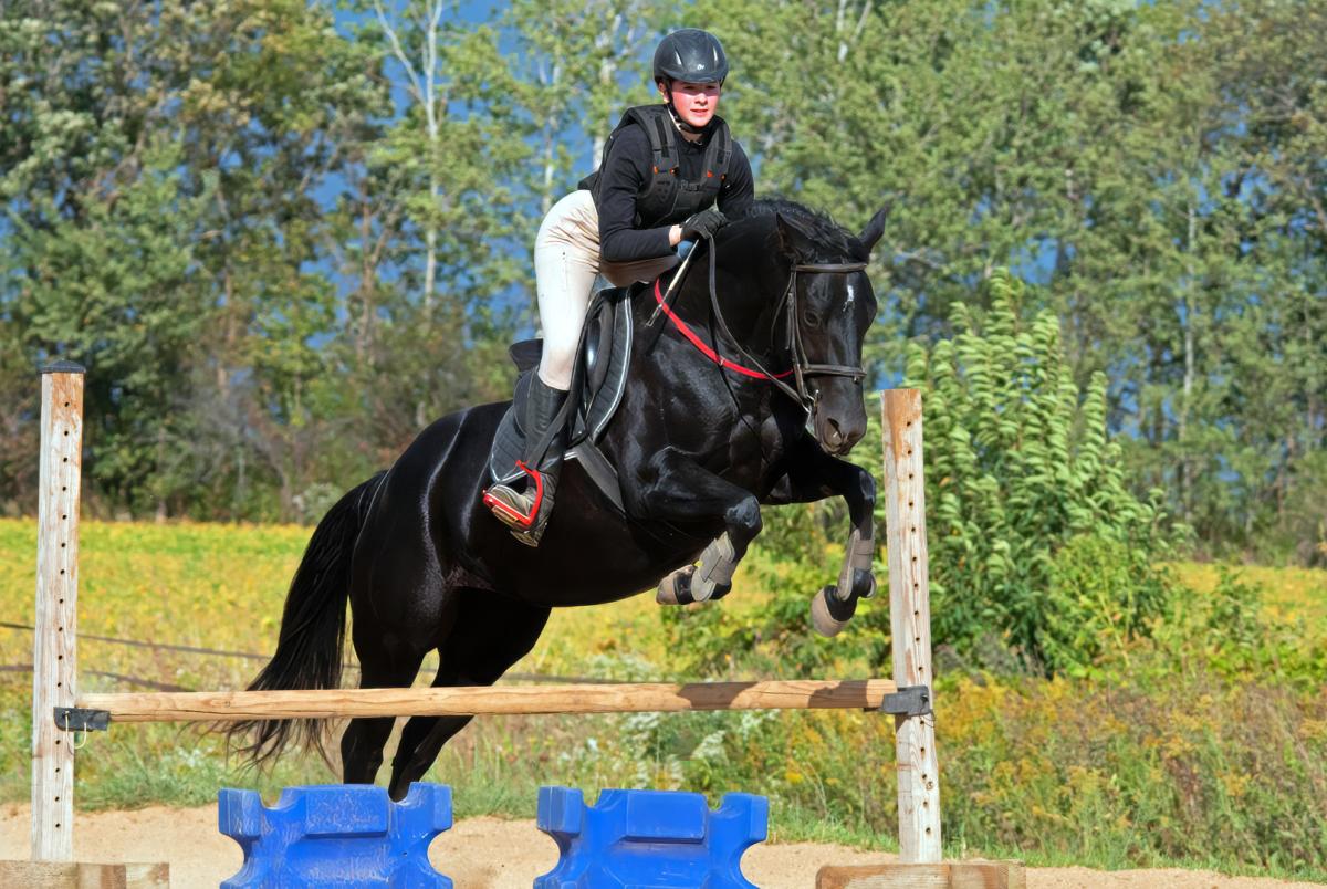 Competition entry: The Jumper