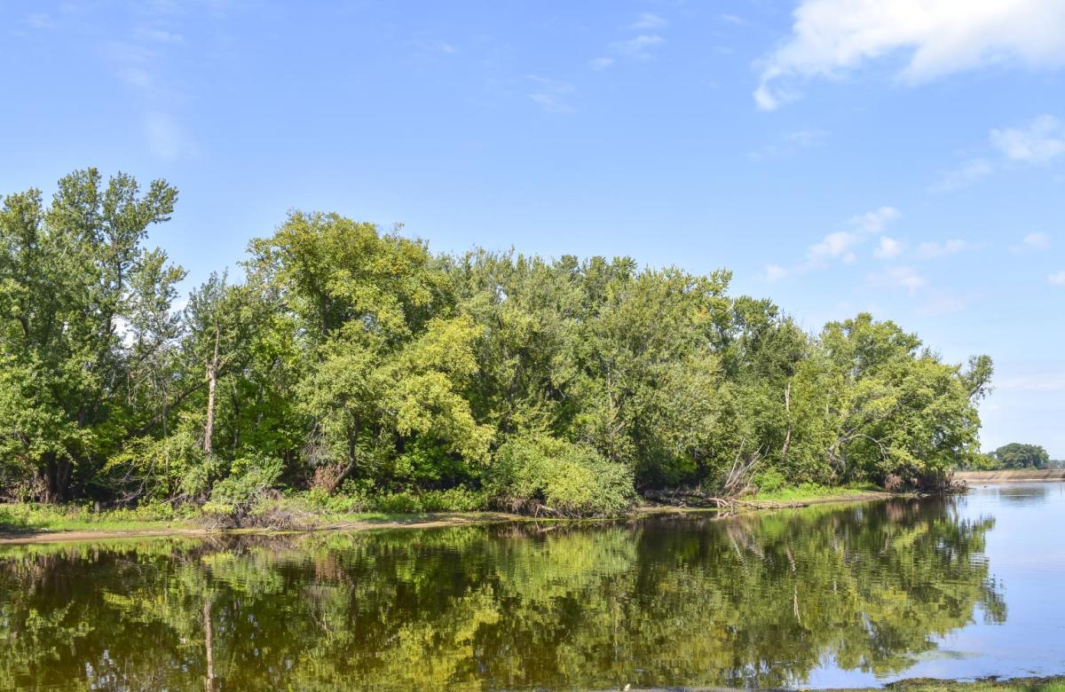 Competition entry: Summer Reflections