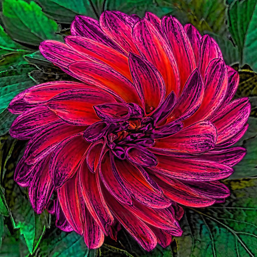 Competition entry: Swirling Petals