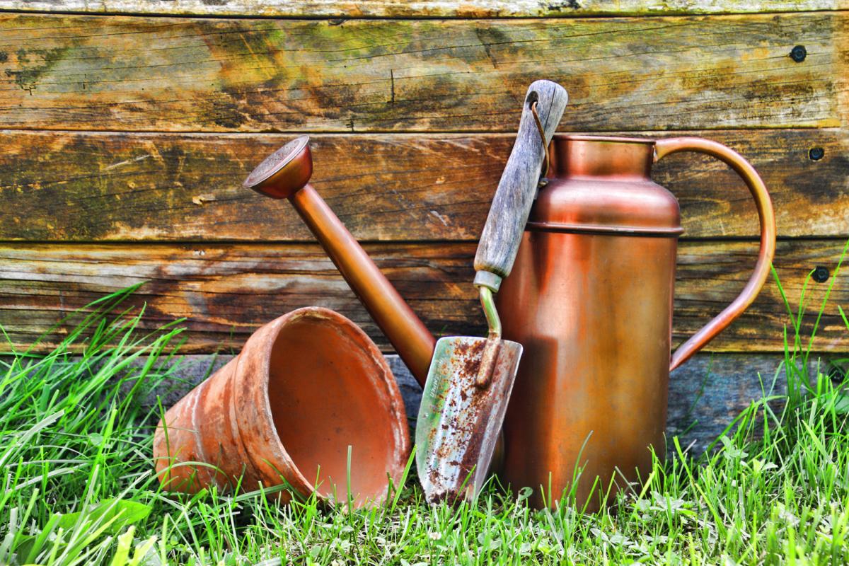 Competition entry: Think Spring