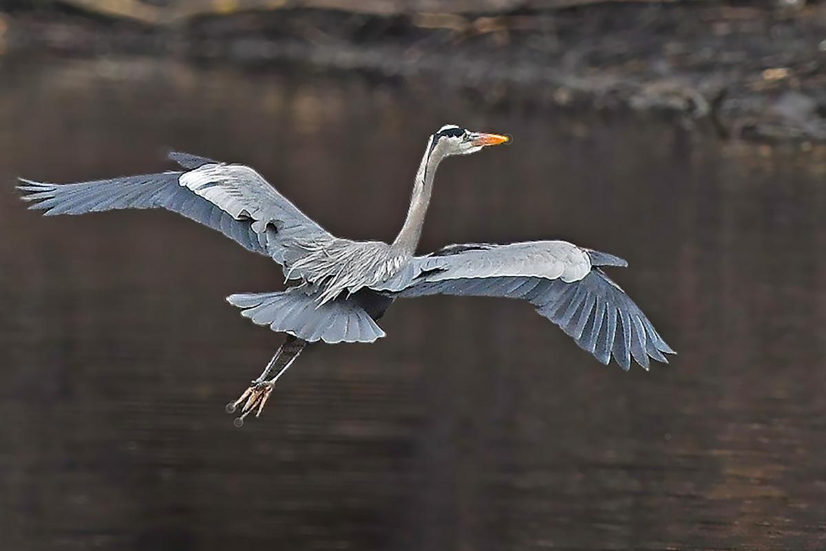 Competition entry: Soft Landing