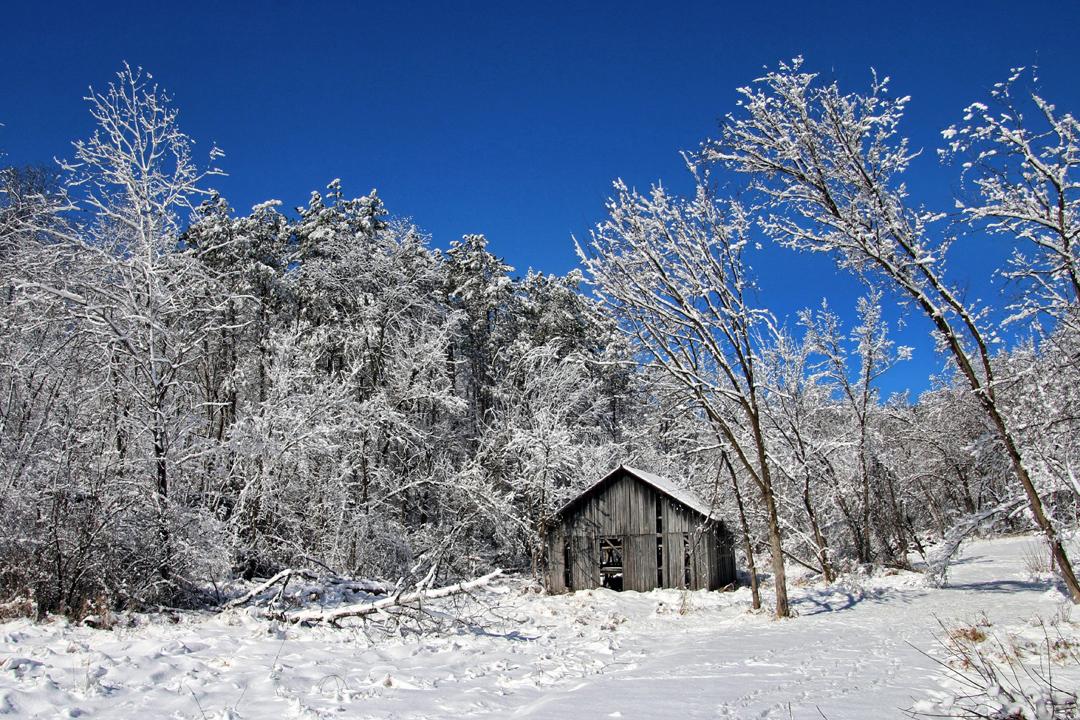 Competition entry: Winter on the Farm